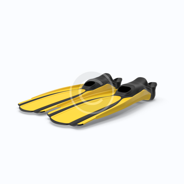 Scuba Fins